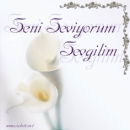 sevgiliye (15).jpg