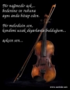 sevgiliye (13).jpg