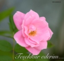 tesekkur2.jpg